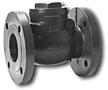 Morrison 246 Swing Check Flanged